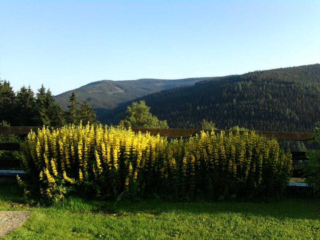 Penzion Kobr Pec pod Sněžkou Exterior foto